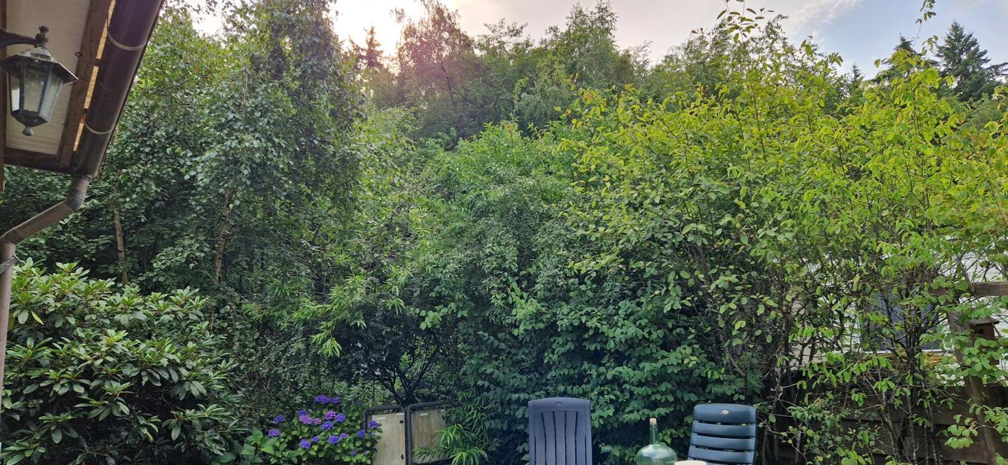 Bush Temple Βίλα Havelte Εξωτερικό φωτογραφία